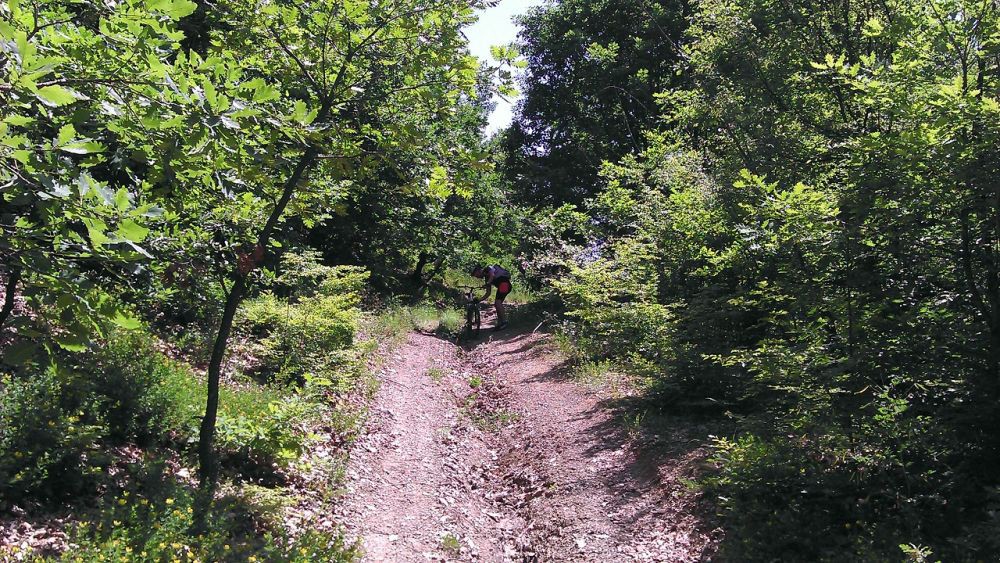 Negde izmedju Leskovika i Miljkovca 3