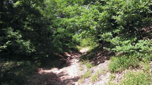 Negde izmedju Leskovika i Miljkovca 2