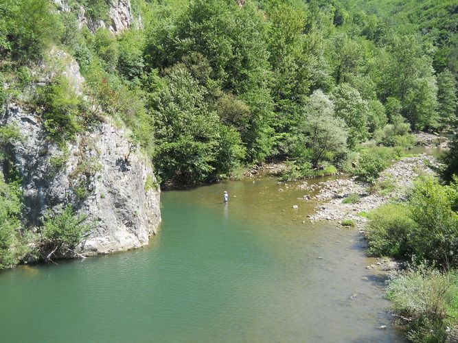 Ribolovac