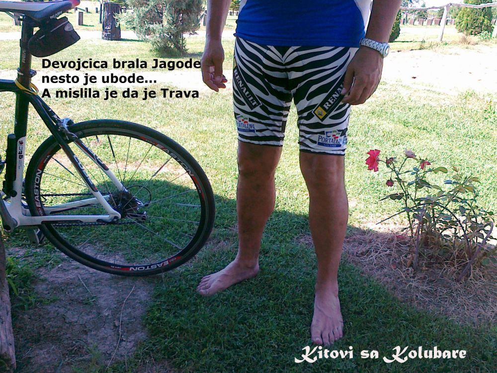 Devojcica brala Jagode