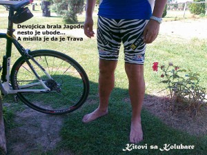 Devojcica brala Jagode