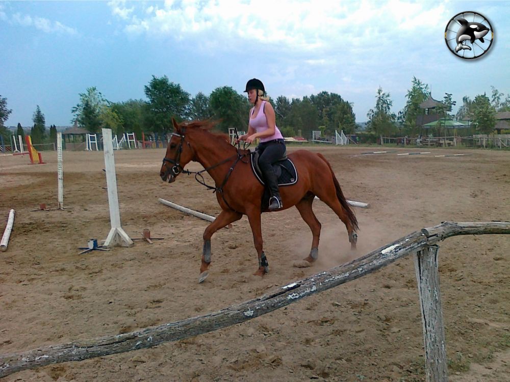 Cross-country