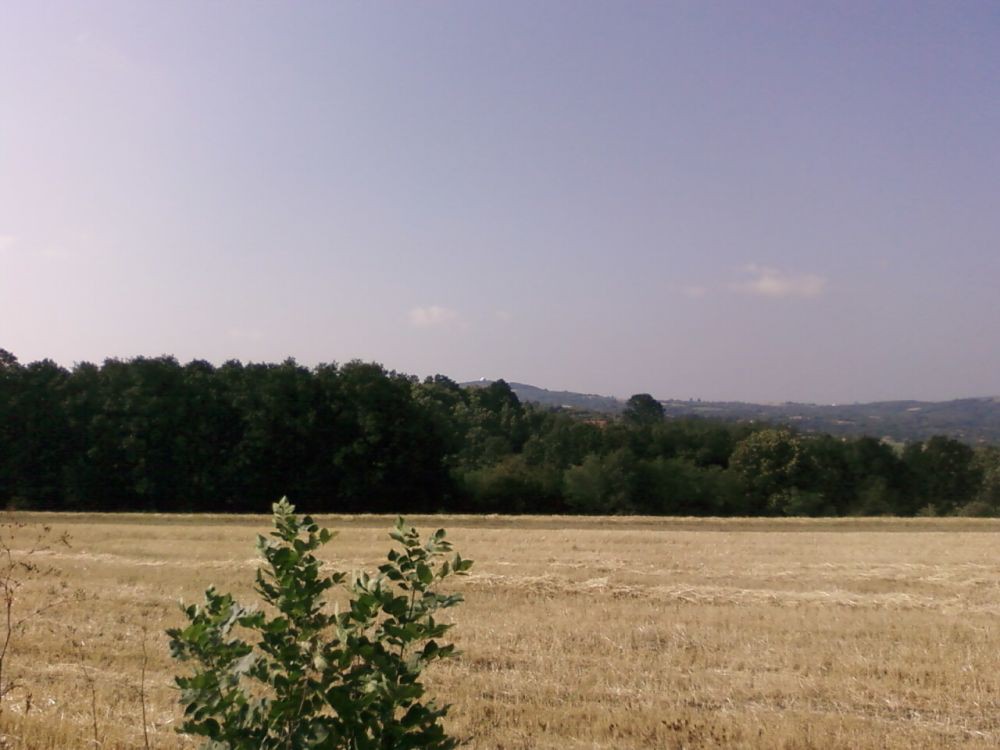 Topola-Oplenac (1)