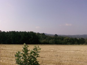 Topola-Oplenac (1)