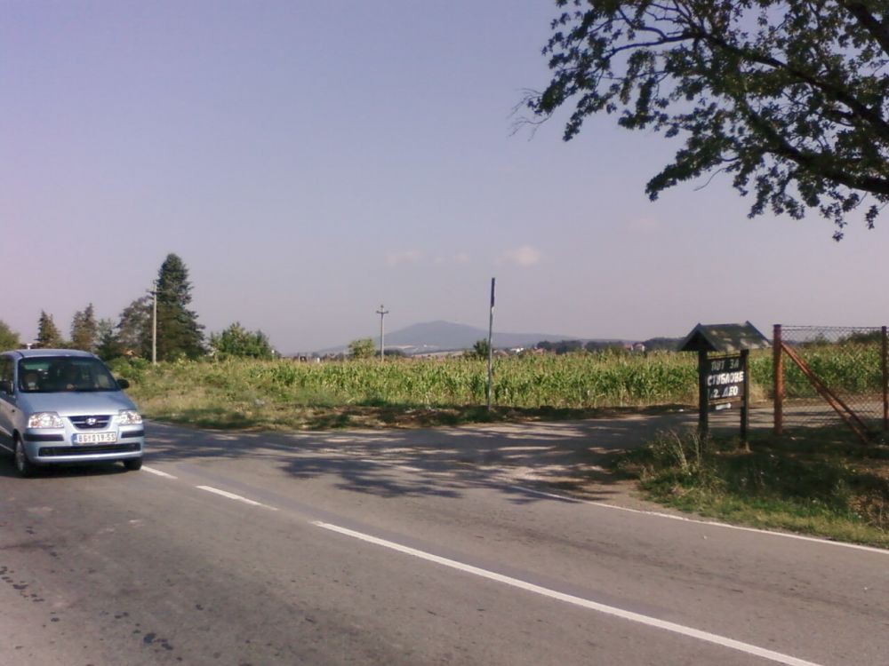 Topola-Oplenac (2)