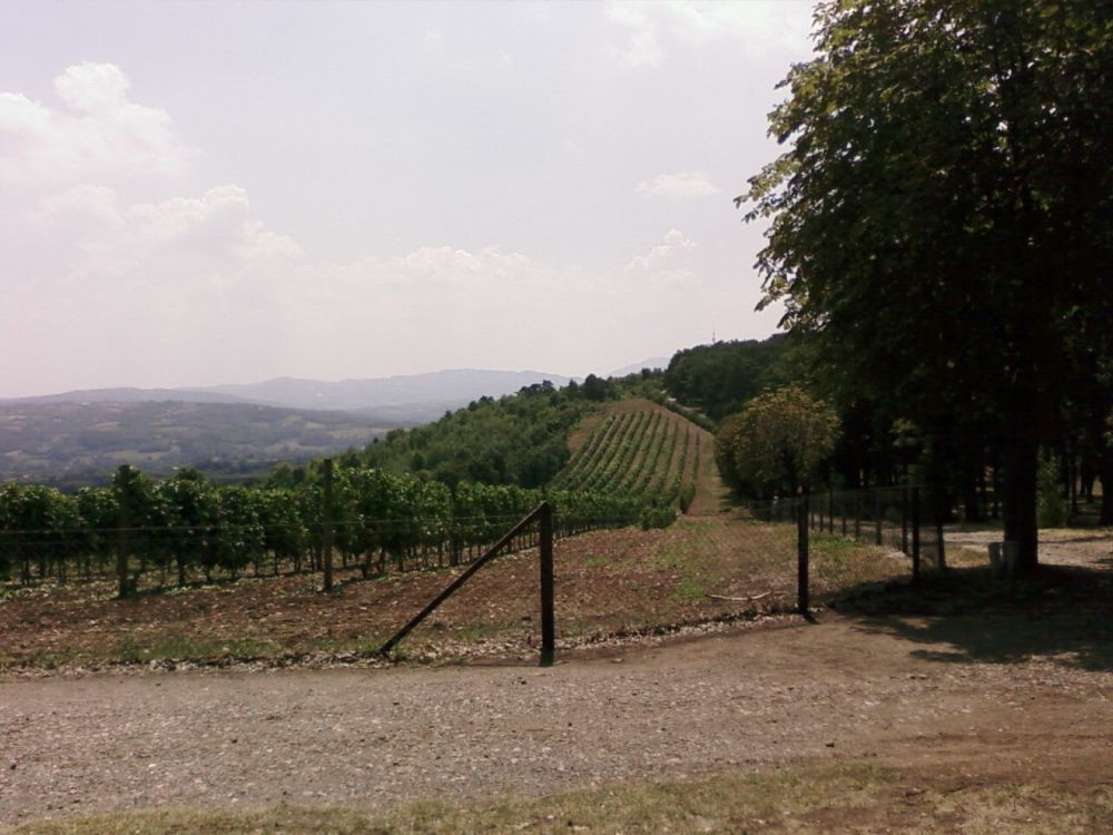 Topola-Oplenac (19)