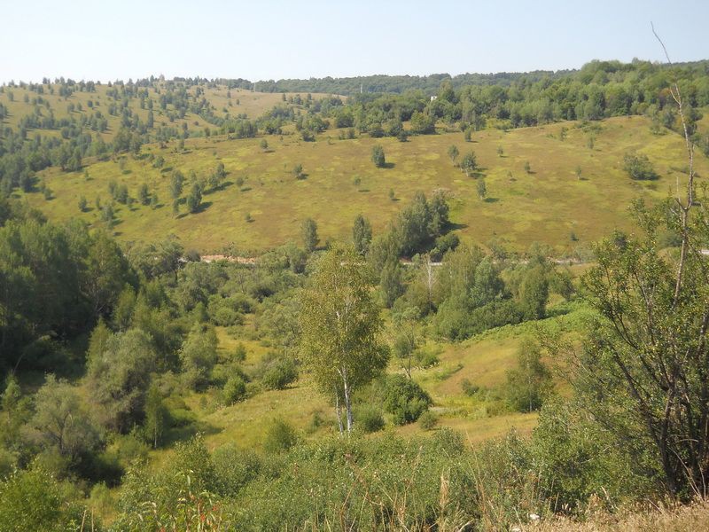 Dolina