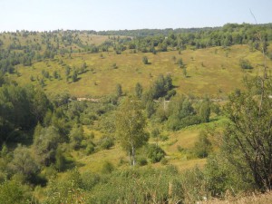 Dolina