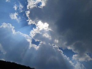 I suncobran smo nabavili