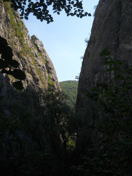 Kanjon u debeloj senci