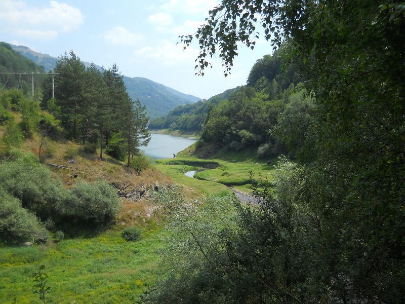 Lisinska reka se uliva u jezero