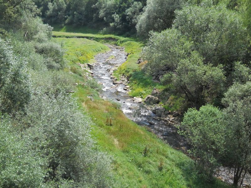 Lisinska reka