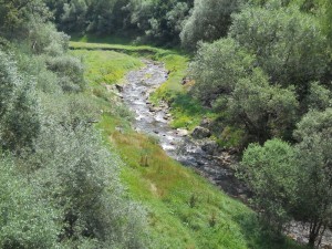 Lisinska reka