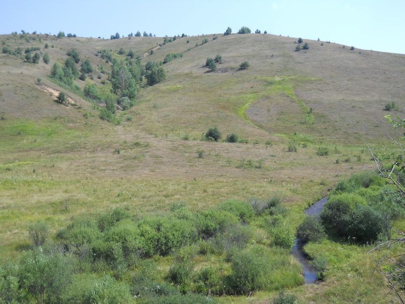 Potok