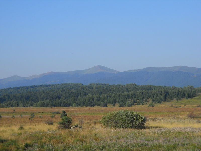 treser u daljini