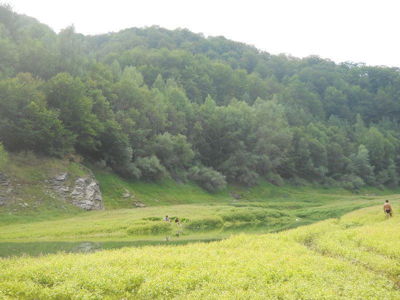 Ušće