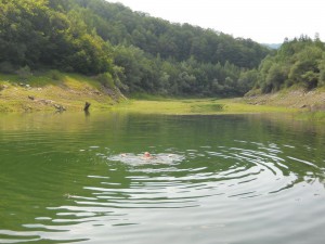 Uživancija