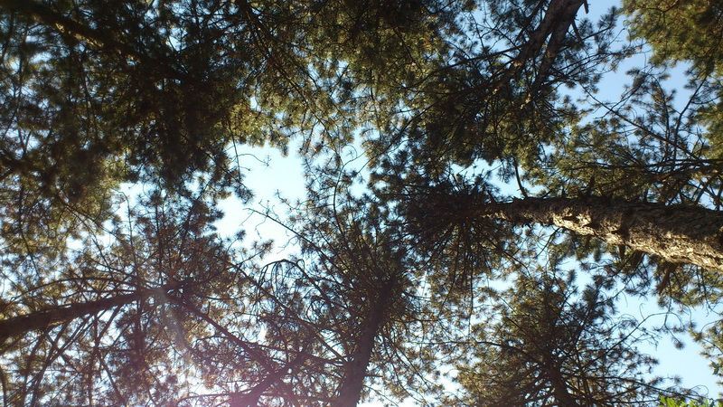 Pogled iz horizontale