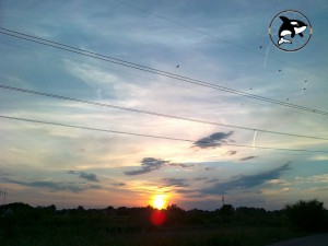 Zice i Tice