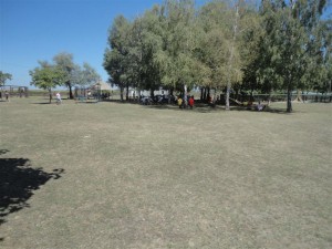 DSC03651