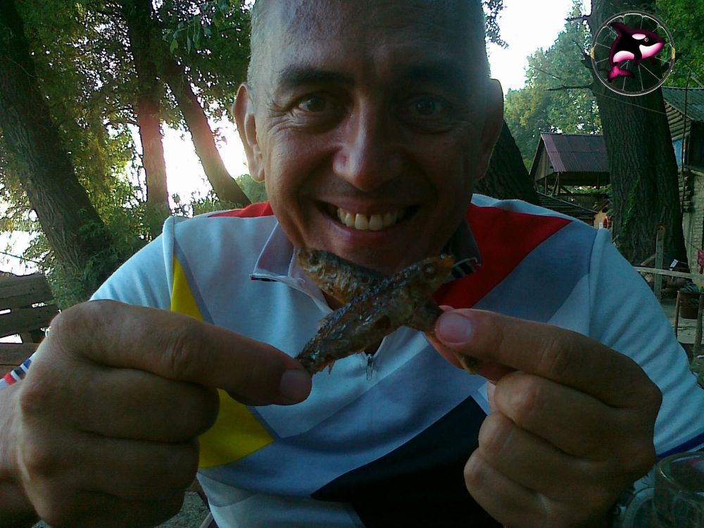 Sta jedu Kitovi