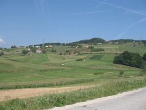 panorama