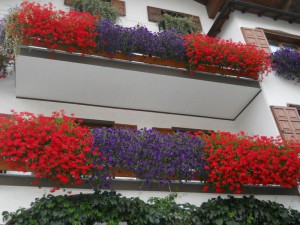 DSCN2757_resize