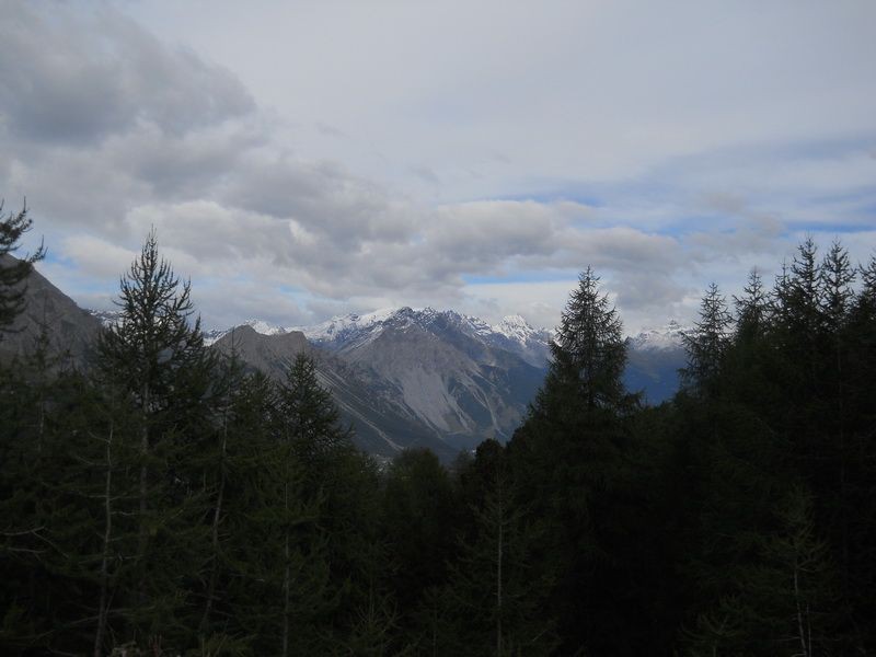 DSCN2897_resize