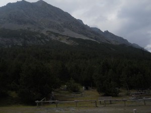 DSCN3134_resize