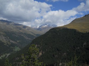 DSCN3338_resize