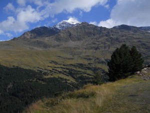 DSCN3339_resize