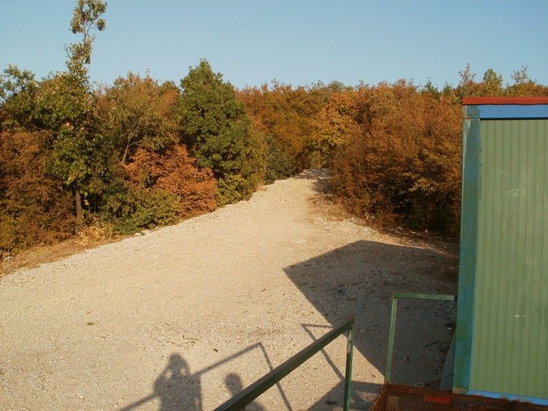 P2260042 (Copy)