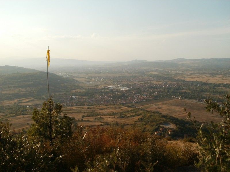 P2260044 (Copy)