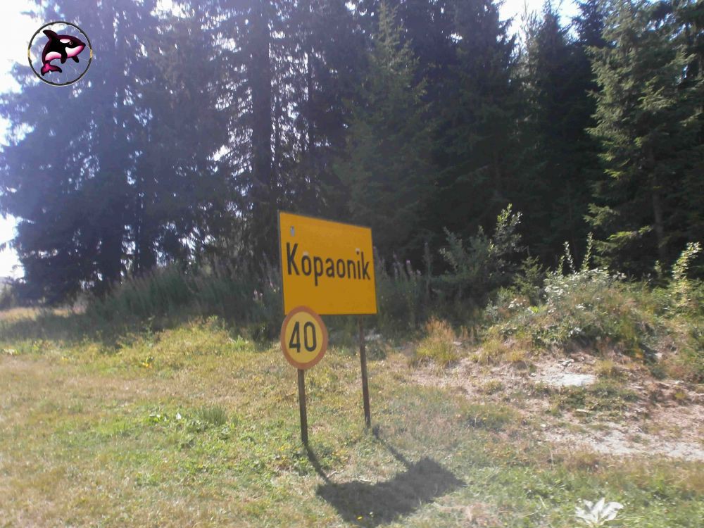 Kopaonik 1
