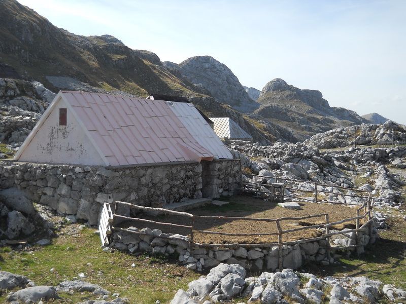 Katun Širokar