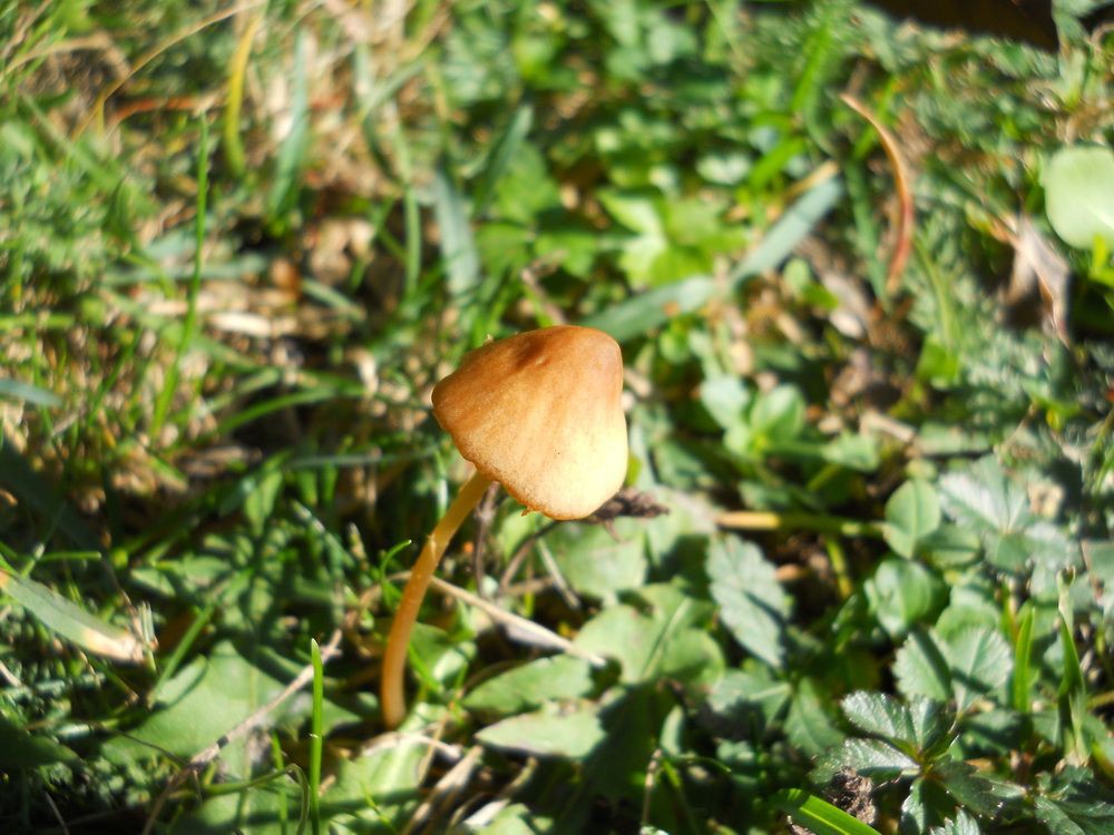 DSCN4152_resize