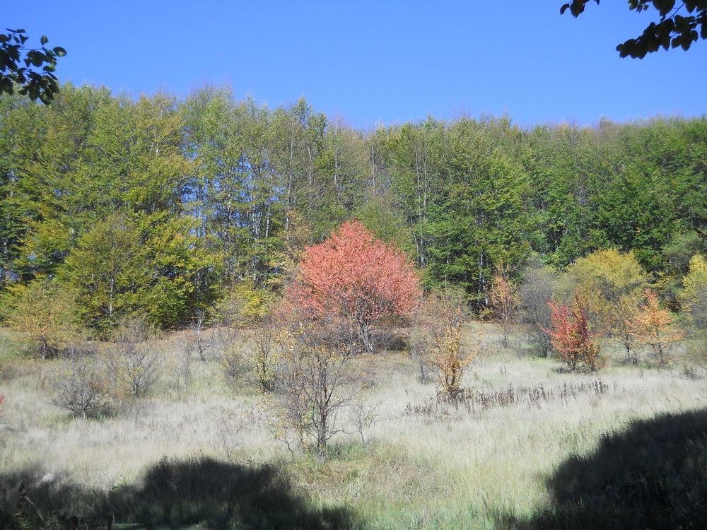 DSCN4163_resize