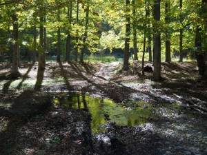 DSCN4165_resize