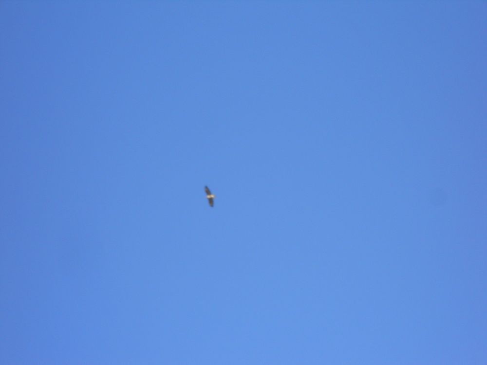 DSCN4189_resize