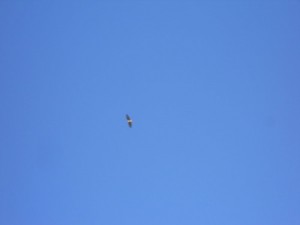 DSCN4189_resize