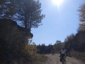 DSCN4300_resize