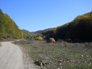 DSCN4330_resize