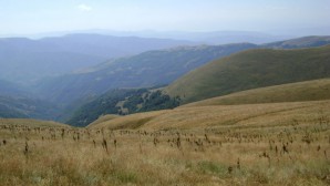 DSC03397