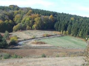 Biciklisti dodaju još malo boja paleti Sokolske planine