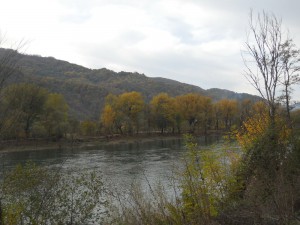 Drina