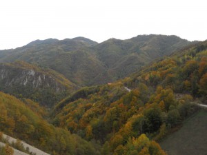 DSCN4435_resize