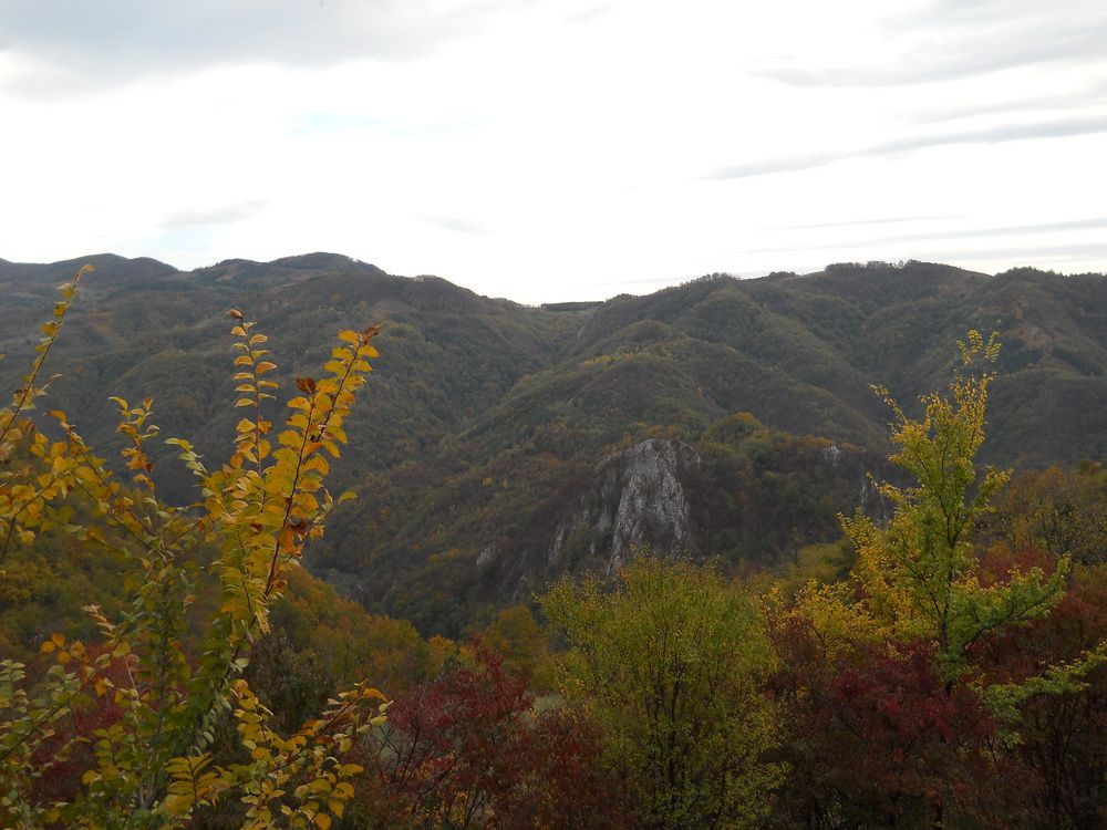 DSCN4440_resize