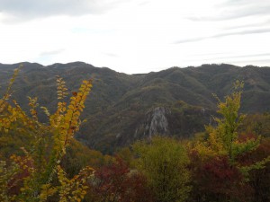 DSCN4440_resize