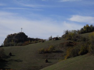 Soko gradi bajkeri pored njega