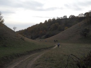 Između dina
